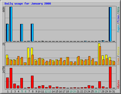 Daily usage for January 2008