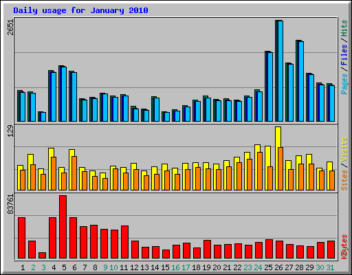 Daily usage for January 2010
