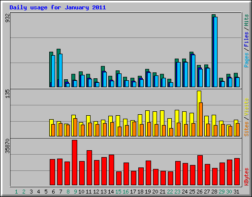 Daily usage for January 2011