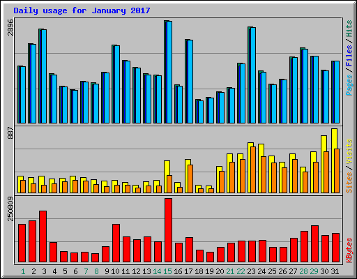 Daily usage for January 2017