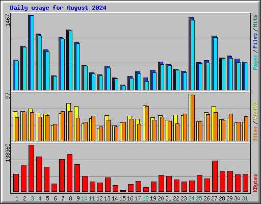 Daily usage for August 2024