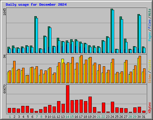 Daily usage for December 2024