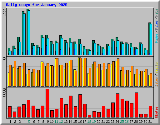 Daily usage for January 2025