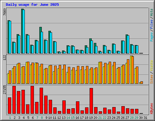 Daily usage for June 2025