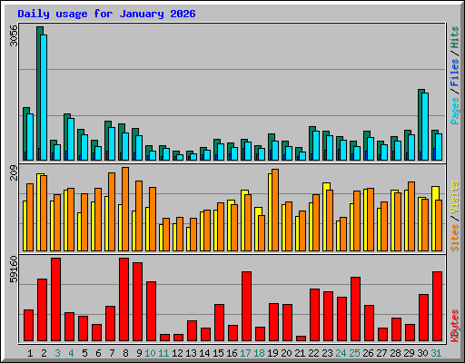 Daily usage for January 2026