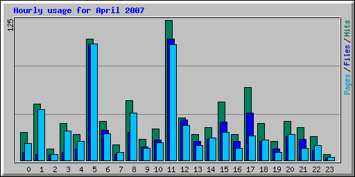 Hourly usage for April 2007