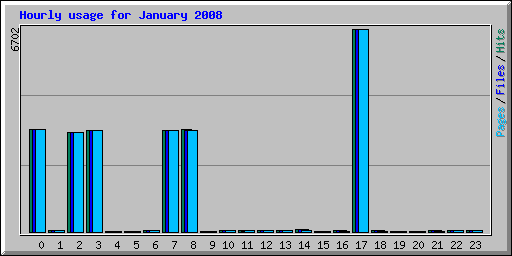 Hourly usage for January 2008