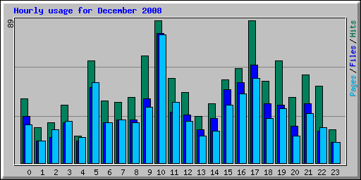 Hourly usage for December 2008