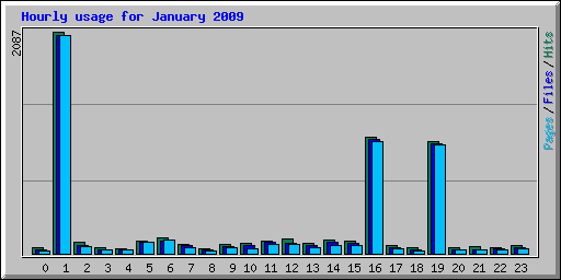 Hourly usage for January 2009