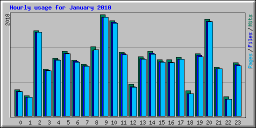 Hourly usage for January 2010