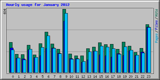 Hourly usage for January 2012