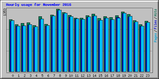 Hourly usage for November 2016