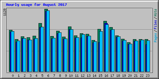 Hourly usage for August 2017