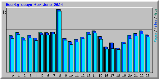 Hourly usage for June 2024