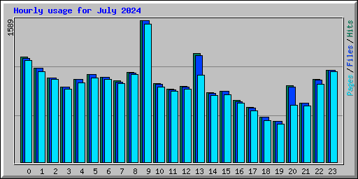 Hourly usage for July 2024