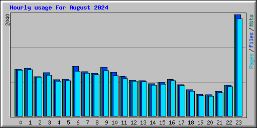 Hourly usage for August 2024