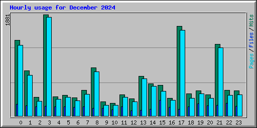 Hourly usage for December 2024