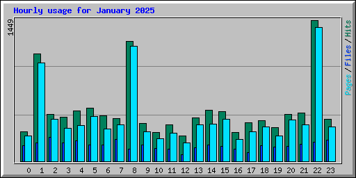 Hourly usage for January 2025