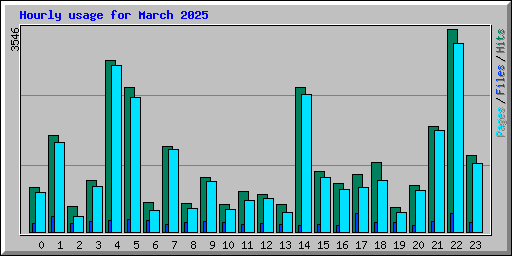 Hourly usage for March 2025