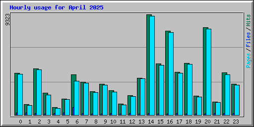 Hourly usage for April 2025