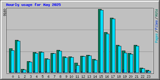 Hourly usage for May 2025