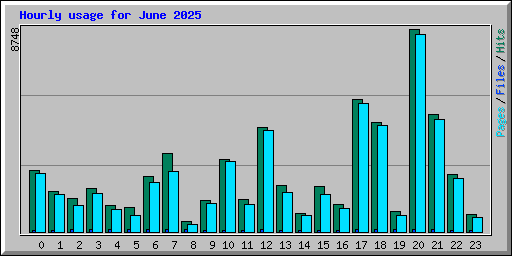 Hourly usage for June 2025