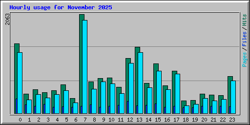 Hourly usage for November 2025
