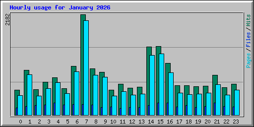 Hourly usage for January 2026