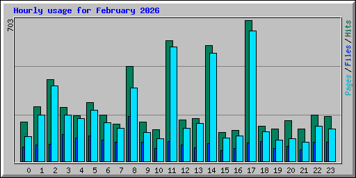 Hourly usage for February 2026
