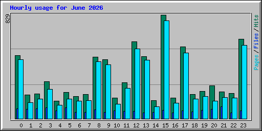 Hourly usage for June 2026